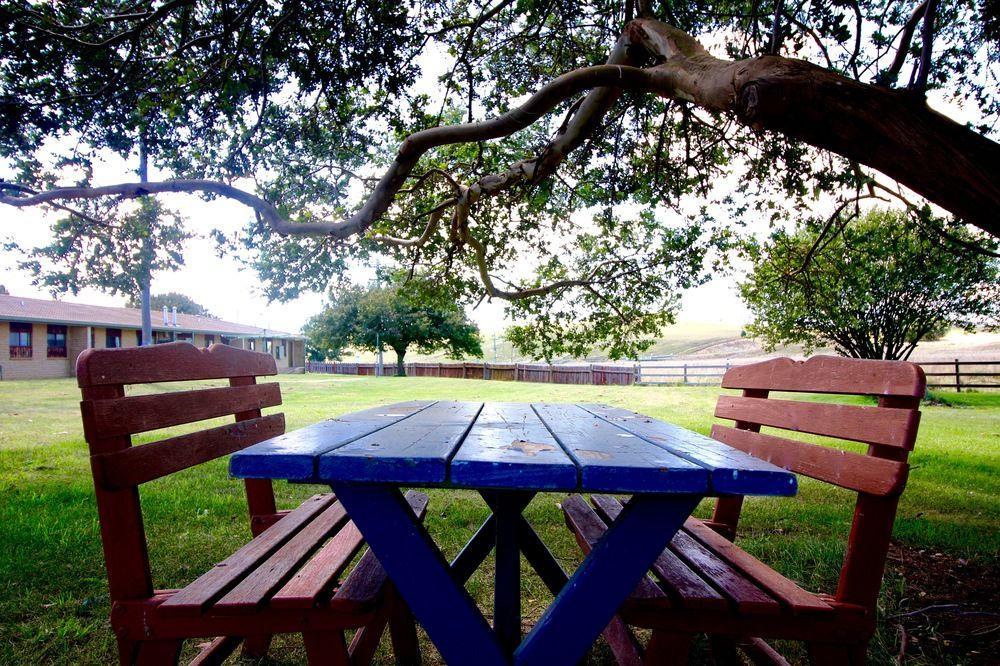 Snowy Mountains Resort And Function Centre Adaminaby Εξωτερικό φωτογραφία