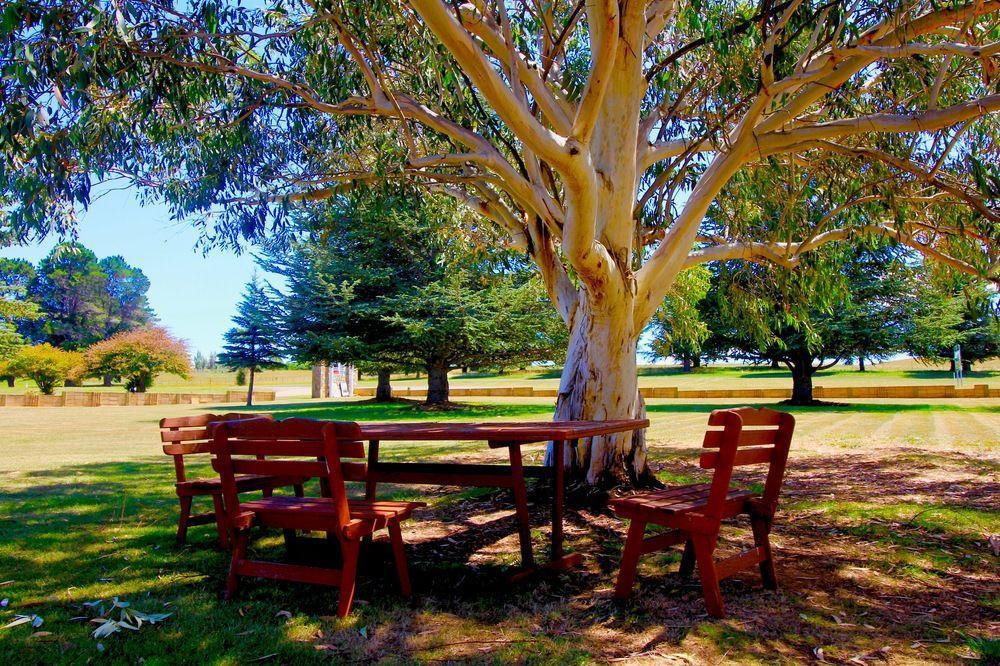 Snowy Mountains Resort And Function Centre Adaminaby Εξωτερικό φωτογραφία